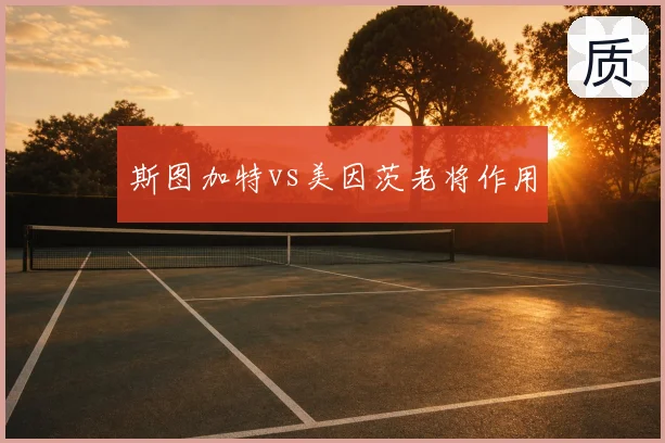 斯图加特vs美因茨老将作用